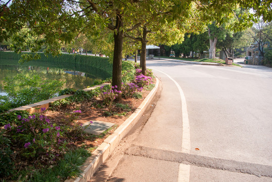 景區(qū)道路