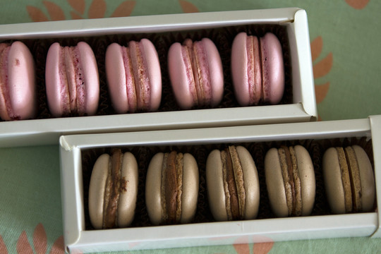 瑪卡龍（Macaron）
