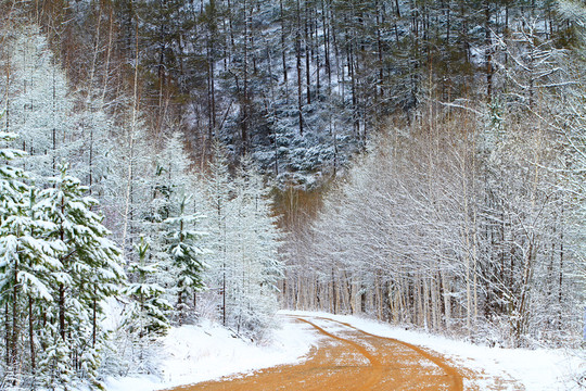 山路春雪