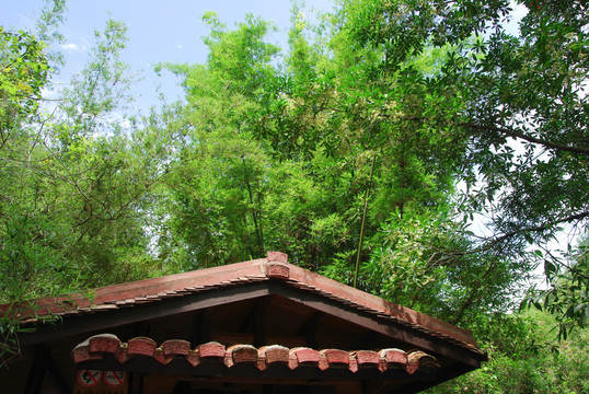 武夷山竹林建筑