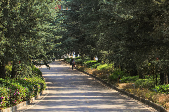 陽光公園
