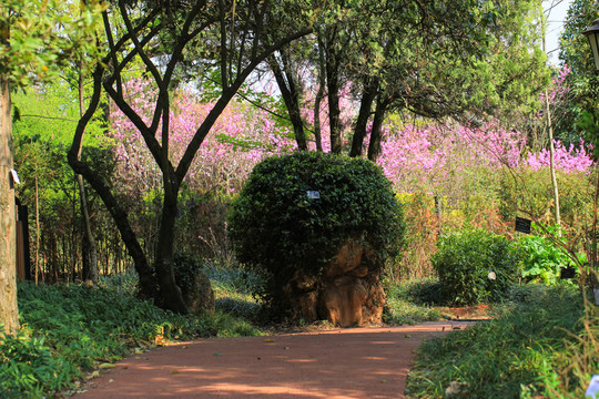 秘密花園