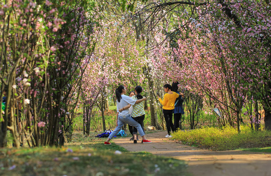 陽光花開園林