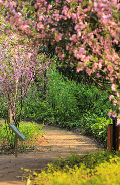 陽光花開園林