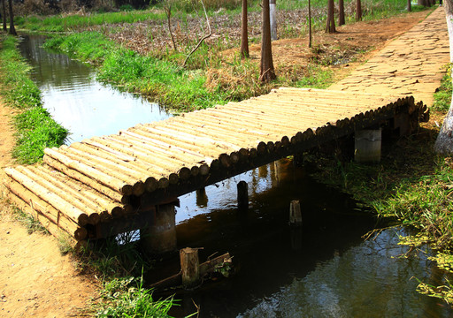 木橋
