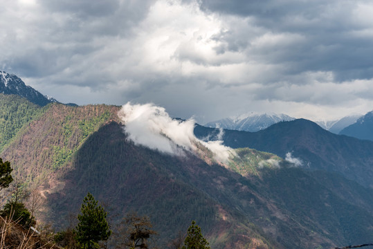 高黎貢山風(fēng)光