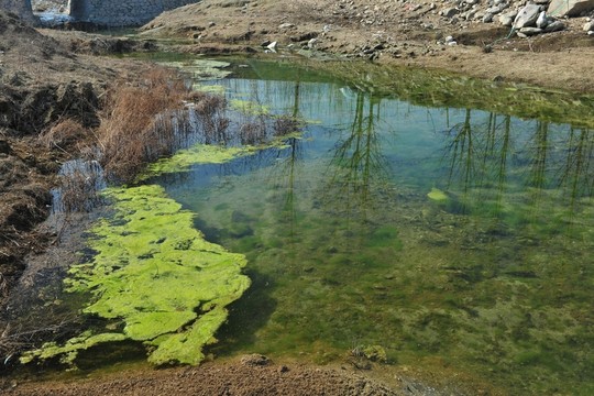 溪水 小溪 小河