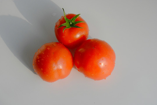 西紅柿素材