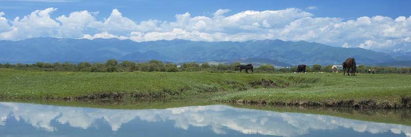 草原水景