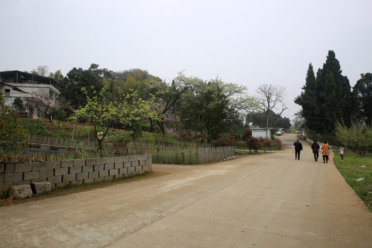 鄉(xiāng)村游