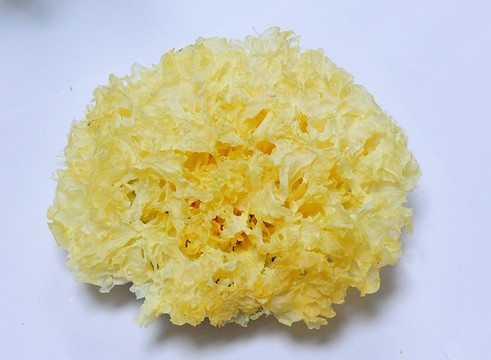 銀耳 白木耳 干菜 干貨