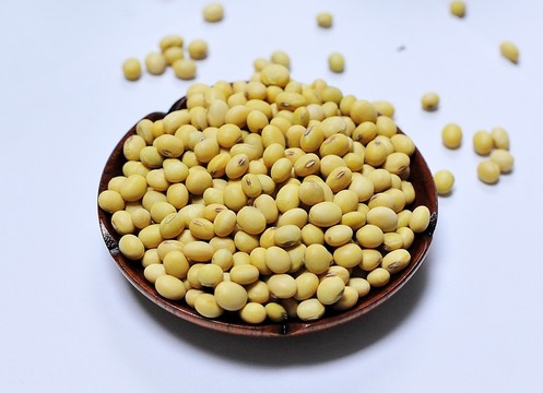 黃豆 大豆