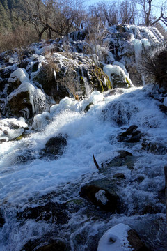冰瀑 瀑布 冬景 古樹 九寨溝