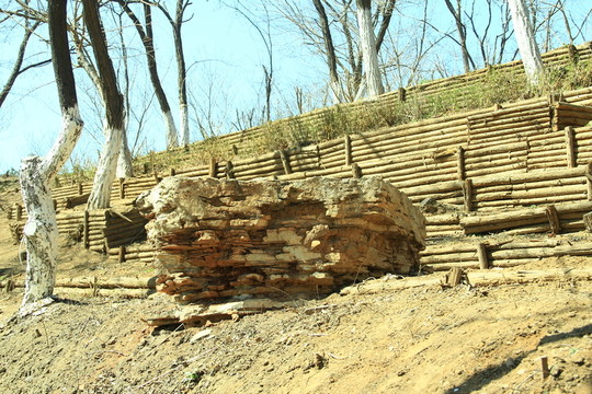 北宮森林公園