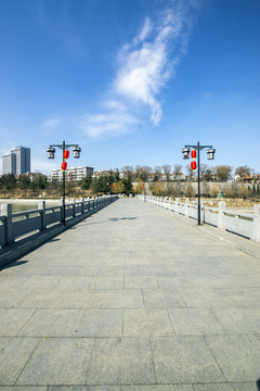 沈星橋