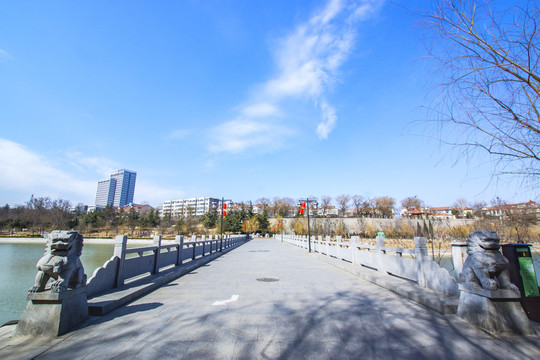 藍(lán)天白云下的沈星橋