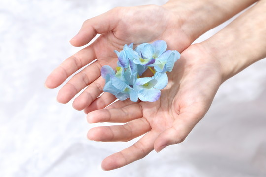 捧花瓣的雙手