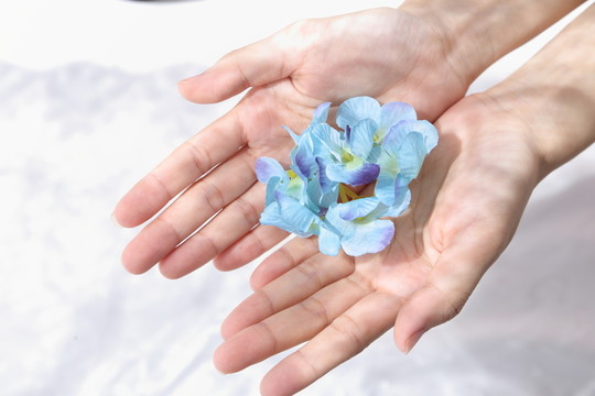 捧花瓣的雙手