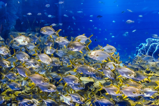 海底世界