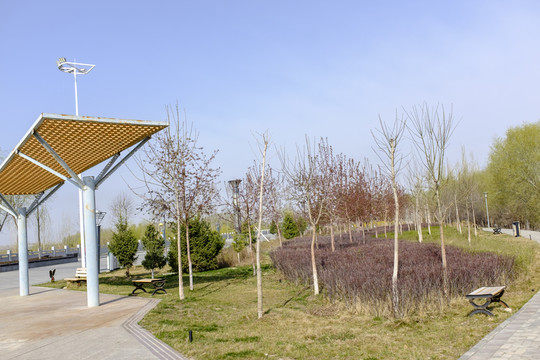 公園
