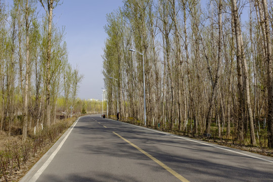 小路
