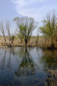 小河