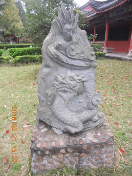 龍