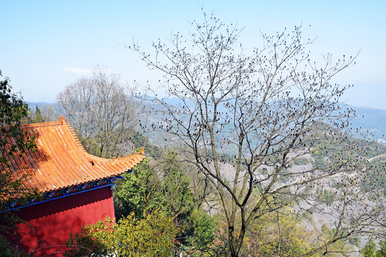 文佛山 宜昌