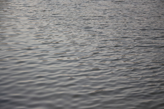 水紋