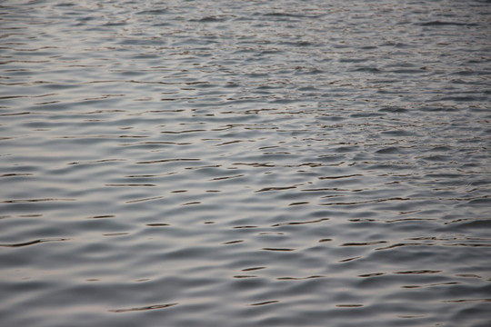 水紋