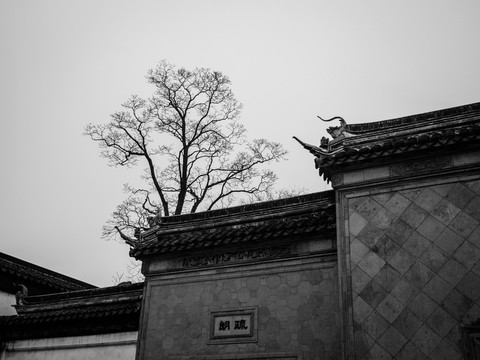 拙政園一角