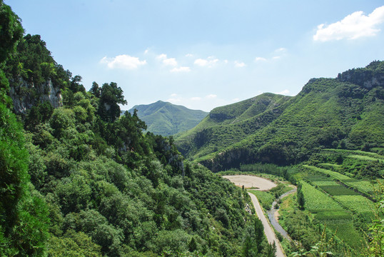山下煙草種植