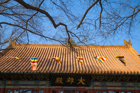寺廟大殿