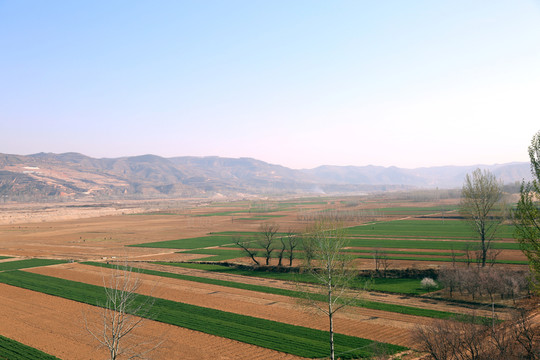 田園風(fēng)景