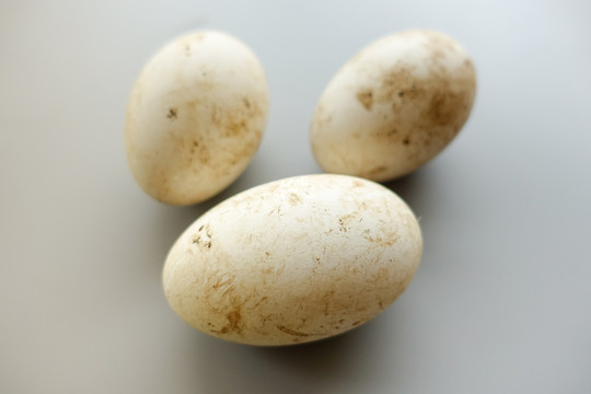 生態(tài)鵝蛋