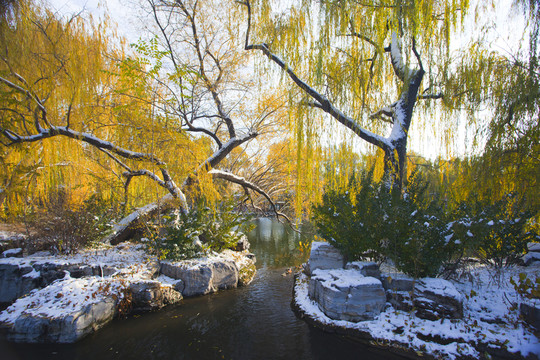 秋景