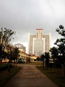 農科院 大廈