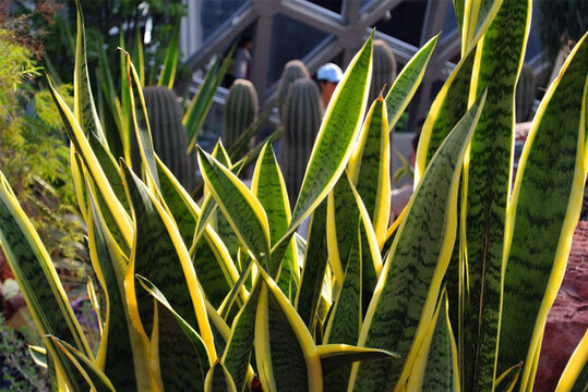 辰山植物園