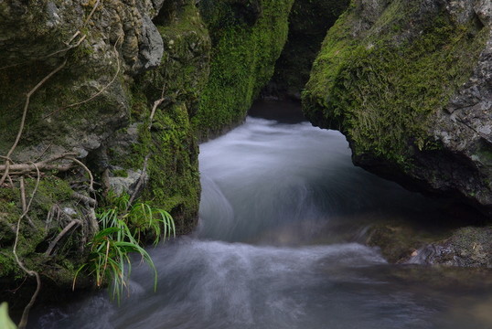山澗流水