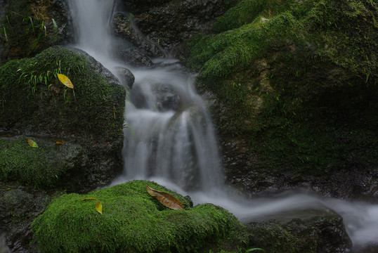 山中溪流
