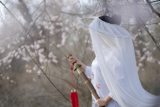 小龍女