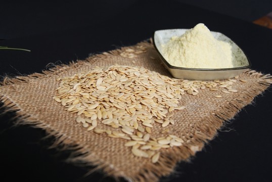 黃瓜籽 營養(yǎng)粉