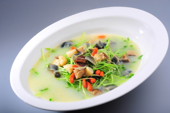 上湯豆苗