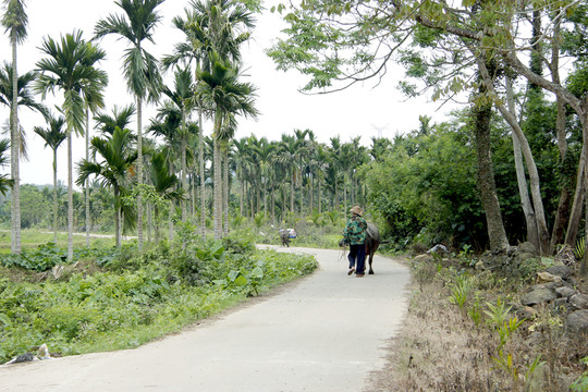 鄉(xiāng)間小路