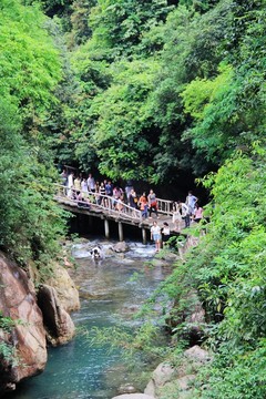 白水寨