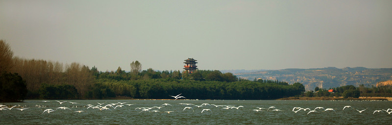 天鵝湖