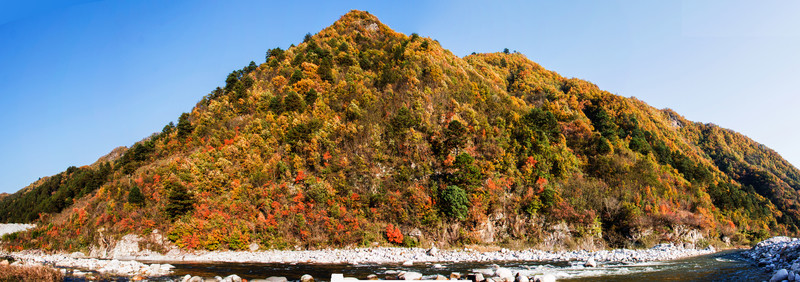 紅葉 全景