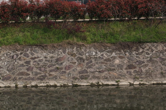 河岸