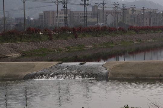河水