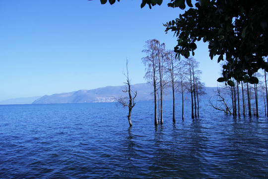 海景